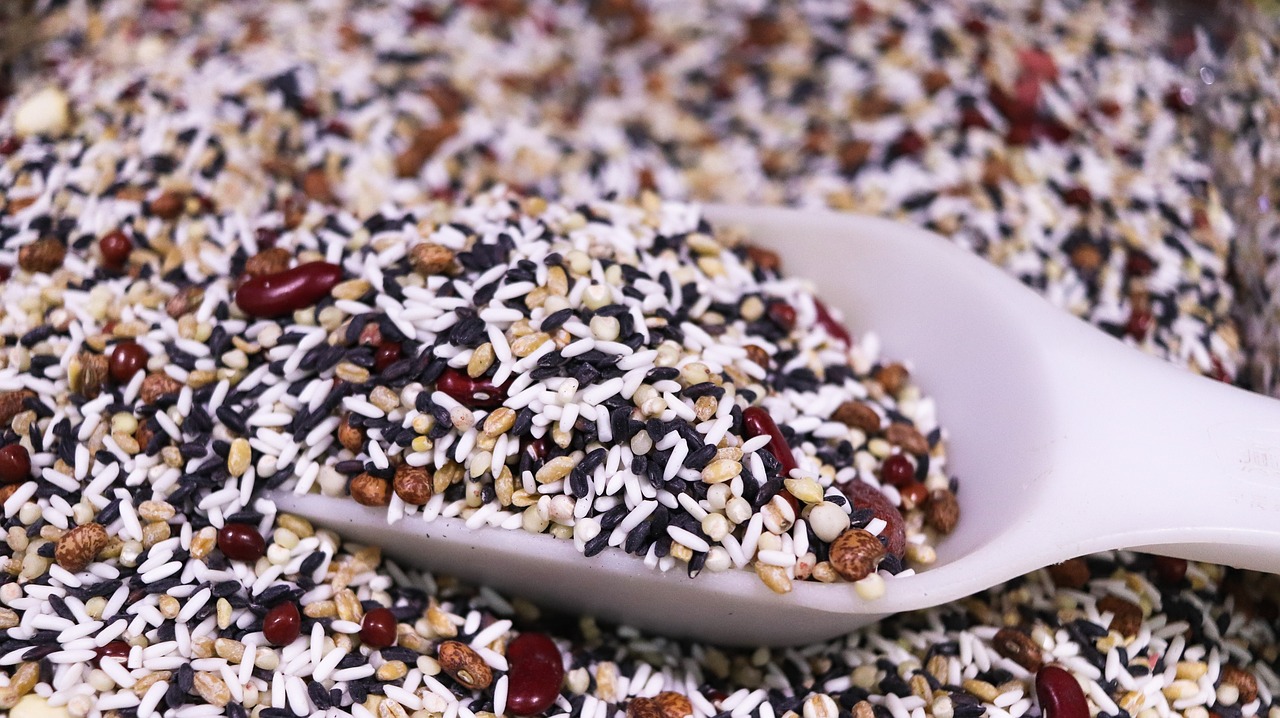 rice-4020950_1280